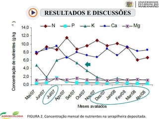 RESULTADOS E DISCUSSÕES
FIGURA 2. Concentração mensal de nutrientes na serapilheira depositada.
 