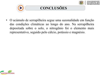 • O acúmulo de serrapilheira segue uma sazonalidade em função
das condições climáticas ao longo do ano. Na serrapilheira
depositada sobre o solo, o nitrogênio foi o elemento mais
representativo, seguido pelo cálcio, potássio e magnésio.
CONCLUSÕES
 