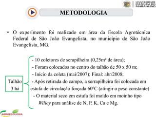 • O experimento foi realizado em área da Escola Agrotécnica
Federal de São João Evangelista, no município de São João
Evangelista, MG.
- 10 coletores de serapilheira (0,25m² de área);
- Foram colocados no centro do talhão de 50 x 50 m;
- Início da coleta (mai/2007); Final: abr/2008;
Talhão - Após retirada do campo, a serrapilheira foi colocada em
3 há estufa de circulação forçada 60ºC (atingir o peso constante)
- O material seco em estufa foi moído em moinho tipo
Willey para análise de N, P, K, Ca e Mg.
METODOLOGIA
 