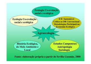 Agroecologia
Ecologia Co-evolução
social e ecológica
Estudos Camponeses
Antropologia
Sociologia
D R Sustentável
Crítica ao DR Convencional
Metodologias Participativas
Economia Ecológica
História Ecológica,
do Meio Ambiente e
Local
Ecologia Co-evolução
social e ecológica
Fonte: elaboração própria a partir de Sevilla Gusmán, 2000
 