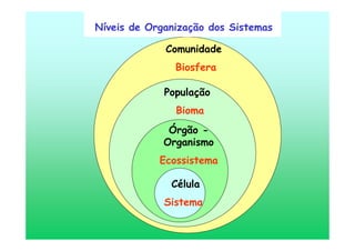 Célula
Sistema
Órgão -
Organismo
Ecossistema
População
Bioma
Comunidade
Biosfera
Níveis de Organização dos Sistemas
 