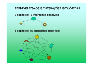 BIODIVERSIDADE E INTERAÇÕES ECOLÓGICAS
3 espécies: 3 interações possíveis
6 espécies: 15 interações possíveis
 
