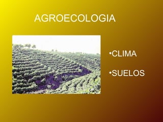 AGROECOLOGIA


           •CLIMA

           •SUELOS
 