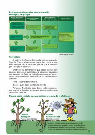 11
Práticas estabelecidas para o manejo
ecológico de pragas
Fonte: Miguel Altieri
Trofobiose
A palavra trofobiose foi usada pelo pesquisador
francês Francis Chaboussou para dar nome a sua
idéia de que não é qualquer planta que é atacada
por “pragas” e doenças.
Chaboussou demonstrou que estas plantas são
doentes por serem submetidas a estresses causados
por excesso ou falta de nutrição ou manejos incor-
retos, provocando um desequilíbrio no seu desenvol-
vimento.
Trofo - quer dizer alimento
Biose - quer dizer existência de vida
Portanto, Trofobiose quer dizer: todo e qualquer
ser vivo só sobrevive se houver alimento adequado
disponível para ele.
Planta sadia resiste aos parasitas: a teoria da trofobiose
Cultivo
ecológico
Planta equilibrada
Cultivo
Convencional
Planta doente
Insetos e microorganismos só sobrevivem onde
existem alimentos para eles; assim, uma planta que
se deixa devorar pelos insetos ou que é atacada por
doenças é uma fonte de alimento para estes parasitas
 