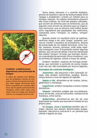 12
Outro passo relevante é o controle biológico,
através do equilíbrio natural da biodiversidade entre
“pragas e predadores”, criando um habitat para os
inimigos naturais. As cadeias alimentares possuem
três níveis tróficos: do nível das plantas cultivadas,
que servem de alimento para os herbívoros, que ao
segundo nível servem de alimento para os organis-
mos carnívoros, que no terceiro nível trófico atuam
como reguladores das populações dos herbívoros,
conhecidos como “inimigos”, ou melhor, “amigos”
naturais.
Quando existe um equilíbrio entre as espécies,
nenhuma chega a ser uma “praga”, portanto, pre-
cisa-se manter o equilíbrio do ecossistema, através
da preservação de um habitat favorável, como ma-
tas, bosques, árvores, pomares, onde estas espé-
cies conseguem viver. É importante manter algumas
plantas, que servem de abrigo e local de reprodução
dos insetos “amigos”. O sorgo, por exemplo, favore-
ce a reprodução do percevejo (Orius insidiosus), que
se alimenta de lagartas, ácaros e tripes da cebola.
Existem, também, espécies de formigas preda-
doras, que controlam o aumento de outros insetos
e por sua vez, são controladas por aves ou lagartos.
Exemplos de controle biológico:
Joaninhas: são pequenos e têm coloração va-
riada. Elas predam cochonilhas, pulgões, ácaros,
mosca branca e ovos de lagarta do algodão.
Sapos e rãs: alimentam-se de insetos, larvas,
gafanhotos e mariposas.
Lagartixas: predam mosquitos e outros insetos
domésticos.
Vespas: controlam pulgões das cucurbitáceas,
broca de tomate, ovos de cochonilha, mandarová da
mandioca, entre outros.
Andorinhas: alimentam-se por dia de uma
quantidade de insetos que equivale à metade de seu
próprio peso.
Os fungos, vírus e bactérias também são ini-
migos naturais que atacam determinadas pragas.
Exemplo: Baculovirus anticarsia é um parasita que
infecta a lagarta da soja.
Crotalária - crotalária juncea
(leguminosa) como prevenção da
Dengue:
O cultivo da crotalária atrai libélulas,
que são predadores naturais de mos-
quitos, inclusive do transmissor da den-
gue, Aedes aegypti, diminuindo dessa
forma a população do mosquito. Além
disso, ela tem grande potencial de fixar
nitrogênio, sendo muito usada como
adubo verde em rotação com diversas
culturas e no enriquecimento do solo.
 