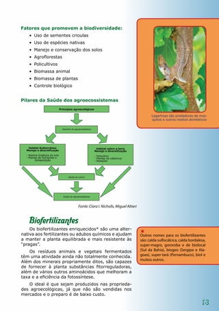 Lagartixas são predadores de mos-
quitos e outros insetos domésticos
Fonte: Clara I. Nicholls, Miguel Altieri
13
Fatores que promovem a biodiversidade:
•	 Uso de sementes crioulas
•	 Uso de espécies nativas
•	 Manejo e conservação dos solos
•	 Agroflorestas
•	 Policultivos
•	 Biomassa animal
•	 Biomassa de plantas
•	 Controle biológico
Pilares da Saúde dos agroecossistemas
Biofertilizantes
Os biofertilizantes enriquecidos* são uma alter-
nativa aos fertilizantes ou adubos químicos e ajudam­
a manter a planta equilibrada e mais resistente às
“pragas”.
Os resíduos animais e vegetais fermentados
têm uma atividade ainda não totalmente conhecida.
Além dos minerais propriamente ditos, são capazes
de fornecer à planta substâncias fitorreguladoras,
além de vários outros aminoácidos que melhoram a
taxa e a eficiência da fotossíntese.
O ideal é que sejam produzidos nas proprieda-
des agroecológicas, já que não são vendidas nos
mercados e o preparo é de baixo custo.
*Outros nomes para os biofertilizantes
são: calda sulfocálcica, calda bordalesa,
super-magro, gororoba e de biolocal
(Sul da Bahia), biogeo (Sergipe e Ala-
goas), super-tará (Pernambuco), biol e
muitos outros.
 