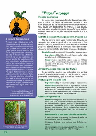 Armadilha de Garrafa PET Instituto
Serta, Gloria de Coitá - PE
22
“Pragas” e manejo
Moscas das frutas
As larvas das moscas da família Tephritidae ata-
cam a polpa dos frutos de diversas culturas e cau-
sam prejuízos ao se desenvolver no interior dos fru-
tos, causa um desbalanço hormonal, o que causa,
por sua vez, amadurecimento desuniforme e culmi-
na com necrose na região afetada e queda precoce
do fruto.
Extrato de cavalinha (Equisetum arvense L.)
Planta perene com usos medicinais. Devido ao
seu princípio ativo ser muito forte é usada como de-
fensivo natural, que além das moscas da fruta afasta
pulgões, ácaros, brocas e formigas. Pode ser utiliza-
da como ornamental e plantada em áreas brejosas.
Cuidado: podem causar intoxicações aos animais.
Ingredientes: 100 a 300 g de cavalinha seca ou 1 a 1,5 kg
de folhas verdes; 10 litros de água.
Preparo: Ferver a cavalinha seca ou verde nos 10 litros
de água. Para aplicar nas plantas, coar e diluir 5 litros da
solução em 95 de água. Pode ser usado puro quando
aplicado ao solo.
Armadilhas para moscas das frutas
As armadilhas podem ser colocadas em pontos
estratégicos da propriedade, o que funciona princi-
palmente com moscas, que atacam as fruteiras.
Mistura para tiras de lona
Ingredientes: 80 g de breu moído; 50 g de óleo de rícino.
Preparo e uso: misturar todos os ingredientes, levar ao
fogo durante 5 minutos para derreter o breu, não deixar
ferver. Passar a cola resultante em tiras de lona amarela.
Pendurar as tiras na bordadura dos locais em que se de-
seja combater os insetos. Serve para 8 dias.
Garrafa caça-mosca
Preparo: Numa garrafa de plástico são feitas diversas“ja-
nelas”com 2 cm no sentido horizontal e 5 cm na vertical
na parte mediana. A garrafa, fechada na parte superior,
para evitar a entrada de água da chuva, é pendurada na
planta a uma altura de 1,50 cm, do lado que o sol nasce,
na proporção de uma garrafa para cada dez plantas do
pomar.
Exemplos de iscas para serem colocadas nas garrafas:
2 partes de água + uma parte de vinagre de vinho ou
suco de uva ou suco de outra fruta.
Uma parte de água + uma parte de suco de frutas ma-
duras.
70 gramas açúcar mascavo ou suco de frutas maduras + 1
litro de água + uma colher“de café”de vinagre.
O exemplo da mosca negra
A mosca negra está atacando na Pa-
raíba plantações de laranja, mas tam-
bém afeta outros frutos, como romã,
caju, graviola, amora, maracujá, gen-
gibre, goiaba, mamão e sapoti. Ape-
sar da larga proliferação, a estratégia
de ação do Governo do Estado está
centrada no uso de agrotóxicos em
grande escala. Os agricultores têm
sido incentivados a aplicarem agro-
tóxicos em seus cultivos, como os
neonicotinoides (classe de inseticida
à qual pertence o Provado, marca de
agrotóxico comercializada no Brasil)*.
Na região da Borborema, as famílias
tradicionalmente produzem frutas
em sistemas altamente diversifica-
dos, onde a própria natureza se en-
carregou de equilibrar as populações
de insetos e pragas. A grande maio-
ria das famílias da região nunca usou
agrotóxicos.
* Informação obtida a partir de
matéria publicada em 2008 pela
Environment News Service (ENS).
 