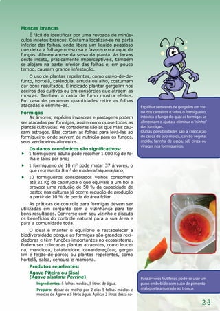 23
Moscas brancas
É fácil de identificar por uma revoada de minús-
culos insetos brancos. Costuma localizar-se na parte
inferior das folhas, onde libera um líquido pegajoso
que deixa a folhagem viscosa e favorece o ataque de
fungos. Alimentam-se da seiva da planta. As larvas
deste inseto, praticamente imperceptíveis, também
se alojam na parte inferior das folhas e, em pouco
tempo, causam grande infestação.
O uso de plantas repelentes, como cravo-de-de-
funto, hortelã, calêndula, arruda ou alho, costumam
dar bons resultados. É indicado plantar gergelim nos
aceiros dos cultivos ou em consórcios que atraem as
moscas. Também a calda de fumo mostra efeitos.
Em caso de pequenas quantidades retire as folhas
atacadas e elimine-as.
Formigas
As árvores, espécies invasoras e pastagens podem
ser atacadas por formigas, assim como quase todas as
plantas cultivadas. As cortadeiras são as que mais cau-
sam estragos. Elas cortam as folhas para levá-las ao
formigueiro, onde servem de nutrição para os fungos,
seus verdadeiros alimentos.
Os danos econômicos são significativos:
ff 1 formigueiro adulto pode recolher 1.000 Kg de fo-
lha e talos por ano;
ff 1 formigueiro de 10 m2
pode matar 37 árvores, o
que representa 8 m2
de madeira/alqueire/ano;
ff 10 formigueiros considerados velhos consomem
até 21 Kg de capim/dia o que equivale a um boi e
provoca uma redução de 50 % da capacidade de
pasto; nas culturas já ocorre redução de produção
a partir de 10 % de perda de área foliar.
As práticas de controle para formigas devem ser
utilizadas em conjunto com a vizinhança para ter
bons resultados. Converse com seu vizinho e discuta
os benefícios do controle natural para a sua área e
para a comunidade toda.
O ideal é manter o equilíbrio e restabelecer a
biodiversidade porque as formigas são grandes reci-
cladoras e têm funções importantes no ecossistema.
Podem ser colocadas plantas atraentes, como leuce-
na, mandioca, batata-doce, cana-de-açúcar, gerge-
lim e feijão-de-porco; ou plantas repelentes, como
hortelã, salsa, cenoura e mamona.
Produtos repelentes:
Agave Piteira ou Sisal
(Agave sisalana Perrine)
Ingredientes: 5 folhas médias, 5 litros de água.
Preparo: deixar de molho por 2 dias 5 folhas médias e
moídas de Agave e 5 litros água. Aplicar 2 litros desta so-
Espalhar sementes de gergelim em tor-
no dos canteiros e sobre o formigueiro,
intoxica o fungo do qual as formigas se
alimentam e ajuda a eliminar o “ninho”
das formigas.
Outras possibilidades são a colocação
de casca de ovo moída, carvão vegetal
moído, farinha de ossos, sal, cinza ou
vinagre nos formigueiros.
Para árvores frutíferas, pode-se usar um
pano embebido com suco de pimenta-
malagueta amarrado ao tronco.
 
