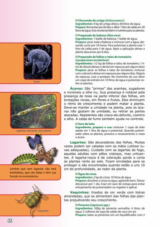 Lagartas atacando uma planta
32
Chorumão de urtiga (Urtica urens L)
Ingredientes: 4 kg de urtiga dióica; 60 litros de água.
Preparo: fermentar por 60 dias e diluir 1 litro da calda em 20
litrosdeágua.Estareceitatambéménutritivaparaasplantas.
Preparado de babosa (Aloe vera)
Ingredientes: 1 balde de babosa; 1 balde de água.
Preparo: picar toda a babosa e misturar com a água, dei-
xando curtir por 24 horas. Para pulverizar a planta usar 1
litro da calda para 5 de água. Após a aplicação deixar a
planta descansar por 8 dias.
Preparado de folhas e talos de tomateiro
(Lycopersicon esculentum)
Ingredientes: 1/2 kg de folhas e talos de tomateiro; 1 li-
tro de álcool (deixar o álcool em repouso por alguns dias)
Preparo: picar as folhas e talos do tomateiro, misturar
com o álcool e deixar em repouso por alguns dias. Depois
do repouso, coar o produto. No momento do uso diluir
um copo do extrato em 10 litros de água e pulverizar so-
bre as plantas.
Ácaros: São “primos” das aranhas, sugadores
e invisíveis a olho nu. Sua presença é notável pela
presença de teias na parte inferior das folhas, em
brotações novas, em flores e frutos. Eles diminuem
o ritmo de crescimento e podem matar a planta.
Deve-se manter a umidade na planta, pois os áca-
ros não gostam de umidade, ou retirar as partes
atacadas. Repelentes são cravo-de-defunto, coentro
e alho. A calda de fumo também ajuda no controle.
Soro de leite
Ingrediente, preparo e uso: misturar 1 copo de leite
azedo em 1 litro de água e pulverizar. Quando pulveri-
zado sobre as plantas, provoca o ressecamento e mata
o ácaro.
Lagartas: São devoradoras das folhas. Muitas
vezes podem ser catadas com as mãos (utilizar lu-
vas adequadas). Cuidado com as lagartas de fogo,
aquelas adultas com pêlos vistosos, mas urtican-
tes. A lagarta-rosca é de coloração parda e corta
as plantas rente ao solo. Ficam enroladas para se
proteger e são encontradas quando estão a uns 10
cm de profundidade, ao redor da planta.
Água de cinza
Ingredientes: 2 kg de cinza; 10 litros de água
Preparo: dissolver a cinza na água, agitando bem. Deixar
descansar por 1 dia. Coar em saco de estopa para evitar
entupimento do pulverizador ou regador e aplicar.
Vaquinhas: Insetos de cor verde com listras
amareladas, que se alimentam das folhas das plan-
tas prejudicando seu crescimento.
Pimenta (Capsicum spp.)
Ingredientes: 500g de pimenta vermelha; 4 litros de
água; 5 colheres de sopa de sabão de coco em pó
Preparo: bater as pimentas em um liquidificador com 2
Lembre que sem lagartas não terá
borboletas, que são belas e têm sua
função no ecossistema.
Ácaro
Ácaro
Vaquinha
 