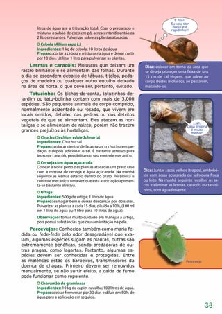 33
litros de água até a trituração total. Coar o preparado e
misturar o sabão de coco em pó, acrescentando então os
2 litros restantes. Pulverizar sobre as plantas atacadas.
Cebola (Allium cepa L.)
Ingredientes: 1 kg de cebola; 10 litros de água
Preparo: cortar a cebola e misturar na água e deixar curtir
por 10 dias. Utilizar 1 litro para pulverizar as plantas.
Lesmas e caracóis: Moluscos que deixam um
rastro brilhante e se alimentam das folhas. Durante
o dia se escondem debaixo de tábuas, tijolos, peda-
ços de madeira ou qualquer outro entulho deixado
na área de horta, o que deve ser, portanto, evitado.
Tatuzinho: Os bichos-de-conta, tatuzinhos-de-
jardim ou tatu-bolinha contam com mais de 3.000
espécies. São pequenos animais de corpo comprido,
normalmente acizentado ou rosado, que vivem em
locais úmidos, debaixo das pedras ou dos detritos
vegetais de que se alimentam. Eles atacam as hor-
taliças e se alimentam de raízes, porém não trazem
grandes prejuízos às hortaliças.
Chuchu (Sechium edule Schnartz)
Ingredientes: Chuchu; sal
Preparo: colocar dentro de latas rasas o chuchu em pe-
daços e depois adicionar o sal. É bastante atrativo para
lesmas e caracóis, possibilitando seu controle mecânico.
Cerveja com água açucarada
Colocar à noite perto das plantas atacadas um prato raso
com a mistura de cerveja e água açucarada. Na manhã
seguinte as lesmas estarão dentro do prato. Possibilita o
controle mecânico, uma vez que esta associação apresen-
ta-se bastante atrativa.
Urtiga
Ingredientes: 500g de urtiga; 1 litro de água.
Preparo: esmagar bem e deixar descansar por dois dias.
Pulverizar as plantas a cada 15 dias, diluído a 10%, (100 mI
em 1 litro de água ou 1 litro para 10 litros de água).
Observação: tomar muito cuidado em manejar a urtiga,
pois possui substâncias que causam irritação na pele.
Percevejos: Conhecido também como maria fe-
dida ou fede-fede pelo odor desagradável que exa-
lam, algumas espécies sugam as plantas, outras são
extremamente benéficas, sendo predadoras de ou-
tras pragas, como lagartas. Portanto, algumas es-
pécies devem ser conhecidas e protegidas. Entre
as maléficas estão os barbeiros, transmissores da
doença de chagas. Primeiro devem ser removidos
manualmente, se não surtir efeito, a calda de fumo
pode funcionar como repelente.
Chorumão de gramíneas
Ingredientes: 10 kg de capim navalha; 100 litros de água.
Preparo: deixar fermentar por 30 dias e diluir em 50% de
água para a aplicação em seguida.
Dica: colocar em torno da área que
se deseja proteger uma faixa de uns
15 cm de cal virgem, que adere ao
corpo destes moluscos, ao passarem,
matando-os.
Dica: Juntar sacos velhos (trapos), embebê-
los com água açucarada ou salmoura fraca
ou leite. Na manhã seguinte recolher os sa-
cos e eliminar as lesmas, caracóis ou tatuzi-
nhos, com água fervente.
Percevejo
...ah.
Casa própria
é muito
melhor!
É fria!!
Eu vou sair
daqui e é
rapidinho!!
 