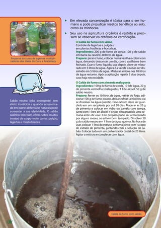 Preparos do curso de agentes multipli-
cadores dos Vales do Curu e Aracatiaçu
36
ff Em elevada concentração é tóxica para o ser hu-
mano e pode prejudicar insetos benéficos ao solo,
como as minhocas.
ff Seu uso na agricultura orgânica é restrito e preci-
sam se observar os critérios da certificação.
Calda de fumo com sabão
Controle de lagartas e pulgões
em plantas frutíferas e hortaliças.
Ingredientes: 200 g de fumo de corda; 100 g de sabão
em barra ou caseiro; 20 litros de água.
Preparo: picar o fumo, colocar numa vasilha e cobrir com
água, deixando descansar um dia, com o vasilhame bem
fechado. Coar o fumo líquido, que depois deve ser mistu-
rado em 5 litros de água. Agora é a vez de o sabão ser dis-
solvido em 5 litros de água. Misturar ambos nos 10 litros
de água restante. Após a aplicação repetir 5 dias depois,
caso haja necessidade.
Calda de fumo com pimenta malagueta
Ingredientes: 100 g de fumo de corda, 10 l de água, 20 g
de pimenta vermelha (malagueta), 1 l de álcool, 50 g de
sabão neutro.
Preparo: ferver os 10 litros de água, retirar do fogo, adi-
cionar 100 g de fumo picado, deixar esfriar (a nicotina vai
se dissolver na água quente). Esse extrato deve ser guar-
dado em um recipiente por até 30 dias. Macerar as 20 g
de pimenta e colocar em vidro ou garrafa com tampa,
junto com 1 litro de álcool e deixar descansando uma se-
mana antes de usar. Este preparo pode ser armazenado
por alguns meses, se estiver bem tampado. Dissolver 50
g do sabão neutro em 1 litro de água quente. Na hora de
usar, colocar 1 litro do extrato de fumo junto com ½ copo
de extrato de pimenta, juntando com a solução do sa-
bão. Colocar tudo em um pulverizador costal de 20 litros.
Agitar a mistura e completar com água.
Sabão neutro (não detergente) tem
efeito inseticida e quando acrescenta-
do em outros defensivos naturais pode
aumentar a sua efetividade. O sabão
sozinho tem bom efeito sobre muitos
insetos de corpo mole como: pulgão,
lagartas e mosca branca.
Calda de fumo com sabão
 