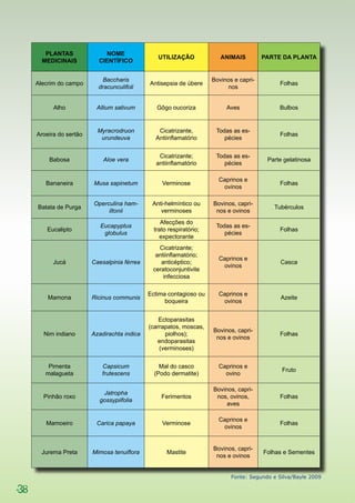 38
PLANTAS
MEDICINAIS
NOME
CIENTÍFICO
UTILIZAÇÃO ANIMAIS PARTE DA PLANTA
Alecrim do campo
Baccharis
dracunculifoli
Antisepsia de úbere
Bovinos e capri-
nos
Folhas
Alho Allium sativum Gôgo oucoriza Aves Bulbos
Aroeira do sertão
Myracrodruon
urundeuva
Cicatrizante,
Antiinflamatório
Todas as es-
pécies
Folhas
Babosa Aloe vera
Cicatrizante;
antiinflamatório
Todas as es-
pécies
Parte gelatinosa
Bananeira Musa sapinetum Verminose
Caprinos e
ovinos
Folhas
Batata de Purga
Operculina ham-
iltonii
Anti-helmíntico ou
verminoses
Bovinos, capri-
nos e ovinos
Tubérculos
Eucalipto
Eucapyptus
globulus
Afecções do
trato respiratório;
expectorante
Todas as es-
pécies
Folhas
Jucá Caesalpinia férrea
Cicatrizante;
antiinflamatório;
anticéptico;
ceratoconjuntivite
infecciosa
Caprinos e
ovinos
Casca
Mamona Ricinus communis
Ectima contagioso ou
boqueira
Caprinos e
ovinos
Azeite
Nim indiano Azadirachta indica
Ectoparasitas
(carrapatos, moscas,
piolhos);
endoparasitas
(verminoses)
Bovinos, capri-
nos e ovinos
Folhas
Pimenta
malagueta
Capsicum
frutescens
Mal do casco
(Podo dermatite)
Caprinos e
ovino
Fruto
Pinhão roxo
Jatropha
gossypiifolia
Ferimentos
Bovinos, capri-
nos, ovinos,
aves
Folhas
Mamoeiro Carica papaya Verminose
Caprinos e
ovinos
Folhas
Jurema Preta Mimosa tenuiflora Mastite
Bovinos, capri-
nos e ovinos
Folhas e Sementes
Fonte: Segundo e Silva/Bayle 2009
 