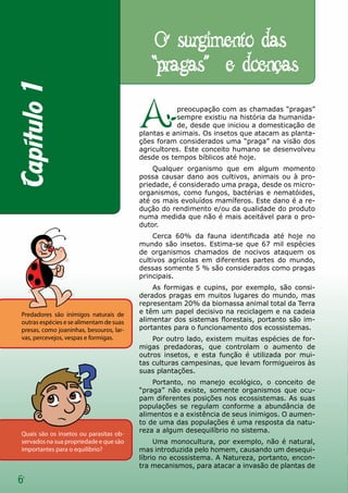 6
Apreocupação com as chamadas “pragas”
sempre existiu na história da humanida-
de, desde que iniciou a domesticação de
plantas e animais. Os insetos que atacam as planta-
ções foram considerados uma “praga” na visão dos
agricultores. Este conceito humano se desenvolveu
desde os tempos bíblicos até hoje.
Qualquer organismo que em algum momento
possa causar dano aos cultivos, animais ou à pro-
priedade, é considerado uma praga, desde os micro-
organismos, como fungos, bactérias e nematóides,
até os mais evoluídos mamíferos. Este dano é a re-
dução do rendimento e/ou da qualidade do produto
numa medida que não é mais aceitável para o pro-
dutor.
Cerca 60% da fauna identificada até hoje no
mundo são insetos. Estima-se que 67 mil espécies
de organismos chamados de nocivos ataquem os
cultivos agrícolas em diferentes partes do mundo,
dessas somente 5 % são considerados como pragas
principais.
As formigas e cupins, por exemplo, são consi-
derados pragas em muitos lugares do mundo, mas
representam 20% da biomassa animal total da Terra
e têm um papel decisivo na reciclagem e na cadeia
alimentar dos sistemas florestais, portanto são im-
portantes para o funcionamento dos ecossistemas.
Por outro lado, existem muitas espécies de for-
migas predadoras, que controlam o aumento de
outros insetos, e esta função é utilizada por mui-
tas culturas campesinas, que levam formigueiros às
suas plantações.
Portanto, no manejo ecológico, o conceito de
“praga” não existe, somente organismos que ocu-
pam diferentes posições nos ecossistemas. As suas
populações se regulam conforme a abundância de
alimentos e a existência de seus inimigos. O aumen-
to de uma das populações é uma resposta da natu-
reza a algum desequilíbrio no sistema.
Uma monocultura, por exemplo, não é natural,
mas introduzida pelo homem, causando um desequi-
líbrio no ecossistema. A Natureza, portanto, encon-
tra mecanismos, para atacar a invasão de plantas de
Quais são os insetos ou parasitas ob-
servados na sua propriedade e que são
importantes para o equilíbrio?
Predadores são inimigos naturais de
outras espécies e se alimentam de suas
presas, como joaninhas, besouros, lar-
vas, percevejos, vespas e formigas.
Capítulo1 O surgimento das
““pragas”” e doenças
 