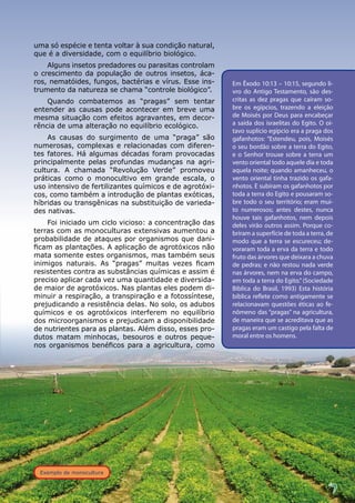 Exemplo de monocultura
7
uma só espécie e tenta voltar à sua condição natural,
que é a diversidade, com o equilíbrio biológico.
Alguns insetos predadores ou parasitas controlam
o crescimento da população de outros insetos, áca-
ros, nematóides, fungos, bactérias e vírus. Esse ins-
trumento da natureza se chama “controle biológico”.
Quando combatemos as “pragas” sem tentar
entender as causas pode acontecer em breve uma
mesma situação com efeitos agravantes, em decor-
rência de uma alteração no equilíbrio ecológico.
As causas do surgimento de uma “praga” são
numerosas, complexas e relacionadas com diferen-
tes fatores. Há algumas décadas foram provocadas
principalmente pelas profundas mudanças na agri-
cultura. A chamada “Revolução Verde” promoveu
práticas como o monocultivo em grande escala, o
uso intensivo de fertilizantes químicos e de agrotóxi-
cos, como também a introdução de plantas exóticas,
híbridas ou transgênicas na substituição de varieda-
des nativas.
Foi iniciado um ciclo vicioso: a concentração das
terras com as monoculturas extensivas aumentou a
probabilidade de ataques por organismos que dani-
ficam as plantações. A aplicação de agrotóxicos não
mata somente estes organismos, mas também seus
inimigos naturais. As “pragas” muitas vezes ficam
resistentes contra as substâncias químicas e assim é
preciso aplicar cada vez uma quantidade e diversida-
de maior de agrotóxicos. Nas plantas eles podem di-
minuir a respiração, a transpiração e a fotossíntese,
prejudicando a resistência delas. No solo, os adubos
químicos e os agrotóxicos interferem no equilíbrio
dos microorganismos e prejudicam a disponibilidade
de nutrientes para as plantas. Além disso, esses pro-
dutos matam minhocas, besouros e outros peque-
nos organismos benéficos para a agricultura, como
Em Êxodo 10:13 – 10:15, segundo li-
vro do Antigo Testamento, são des-
critas as dez pragas que caíram so-
bre os egípcios, trazendo a eleição
de Moisés por Deus para encabeçar
a saída dos israelitas do Egito. O oi-
tavo suplício egípcio era a praga dos
gafanhotos: “Estendeu, pois, Moisés
o seu bordão sobre a terra do Egito,
e o Senhor trouxe sobre a terra um
vento oriental todo aquele dia e toda
aquela noite; quando amanheceu, o
vento oriental tinha trazido os gafa-
nhotos. E subiram os gafanhotos por
toda a terra do Egito e pousaram so-
bre todo o seu território; eram mui-
to numerosos; antes destes, nunca
houve tais gafanhotos, nem depois
deles virão outros assim. Porque co-
briram a superfície de toda a terra, de
modo que a terra se escureceu; de-
voraram toda a erva da terra e todo
fruto das árvores que deixara a chuva
de pedras; e não restou nada verde
nas árvores, nem na erva do campo,
em toda a terra do Egito.”(Sociedade
Bíblica do Brasil, 1993) Esta história
bíblica reflete como antigamente se
relacionavam questões éticas ao fe-
nômeno das “pragas” na agricultura,
de maneira que se acreditava que as
pragas eram um castigo pela falta de
moral entre os homens.
 