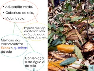 • Adubação verde.
• Cobertura do solo.
• Vida no solo
Conservaçã
o da água e
do solo
Melhoria das
características
físicas e químicas
do solo
Impedir que seja
danificado pela
ação, do sol, do
vento e da chuva.
 