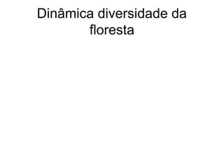 Dinâmica diversidade da
floresta
 