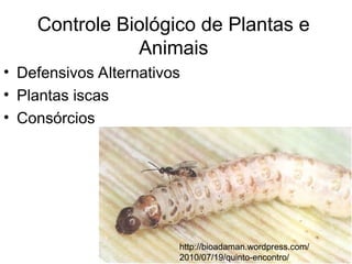 Controle Biológico de Plantas e
Animais
• Defensivos Alternativos
• Plantas iscas
• Consórcios
http://bioadaman.wordpress.com/
2010/07/19/quinto-encontro/
 