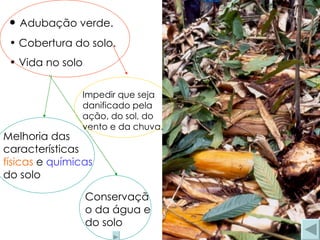 • Adubação verde.
 • Cobertura do solo.
 • Vida no solo

                Impedir que seja
                danificado pela
                ação, do sol, do
                vento e da chuva.
Melhoria das
características
físicas e químicas
do solo

                  Conservaçã
                  o da água e
                  do solo
 