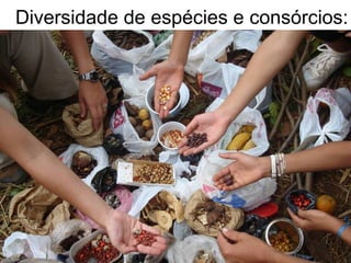 Diversidade de espécies e consórcios:
 