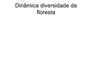 Dinâmica diversidade da
       floresta
 