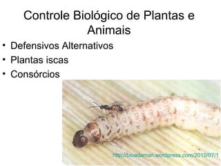 Controle Biológico de Plantas e
               Animais
• Defensivos Alternativos
• Plantas iscas
• Consórcios




                        http://bioadaman.wordpress.com/2010/07/19
 