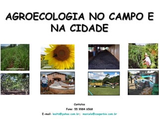 AGROECOLOGIA NO CAMPO E
       NA CIDADE




                           Contatos
                      Fone: 55 9984 6568
     E-mail: lealts@yahoo.com.br; marcelo@cooperbio.com.br
 