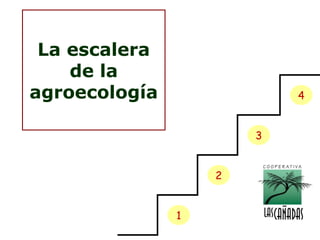 La escalera
de la
agroecología

4
3
2
1

 