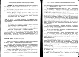 Agroecologia produçao animal