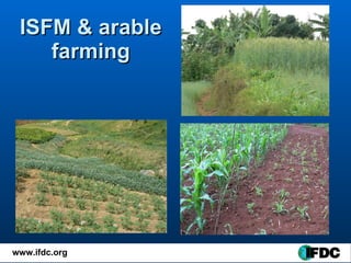 ISFM & arable farming 
