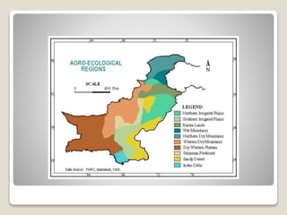 Agro ecological zones of pakistan By Mr Allah Dad Khan Visiting ...