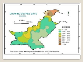 Agro ecological zones of pakistan By Mr Allah Dad Khan Visiting ...