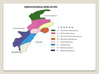 Agro ecological zones of pakistan By Mr Allah Dad Khan Visiting ...