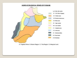 Agro ecological zones of pakistan By Mr Allah Dad Khan Visiting ...