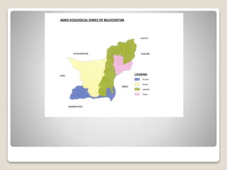 Agro ecological zones of pakistan By Mr Allah Dad Khan Visiting ...