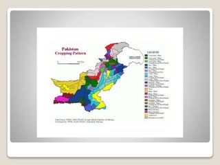 Agro ecological zones of pakistan By Mr Allah Dad Khan Visiting ...