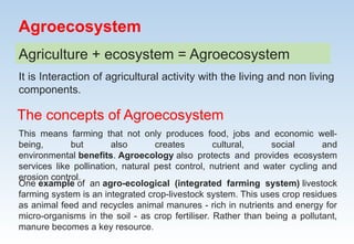 Agroecology.pptx ecology of archecologys | PPTX