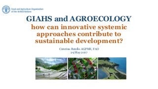 GIAHS and AGROECOLOGY
how can innovative systemic
approaches contribute to
sustainable development?
Caterina Batello AGPME, FAO
29 May 2017
 