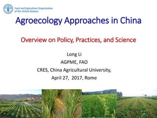 Agroecology Approaches in China
Overview on Policy, Practices, and Science
Long Li
AGPME, FAO
CRES, China Agricultural University,
April 27, 2017, Rome
 