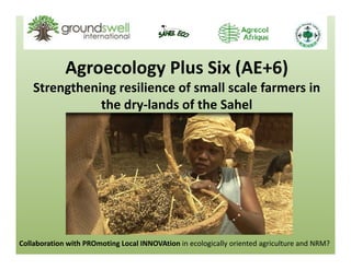 Agroecology Plus Six (AE+6) 
Strengthening resilience of small scale farmers in 
the dry‐lands of the Sahel 
Collaboration with PROmoting Local INNOVAtion in ecologically oriented agriculture and NRM?
 