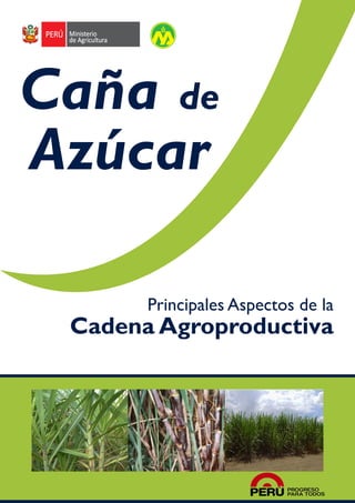 1 
Dirección General de Competitividad Agraria 
Caña de 
Azúcar 
Principales Aspectos de la 
Cadena Agroproductiva 
 