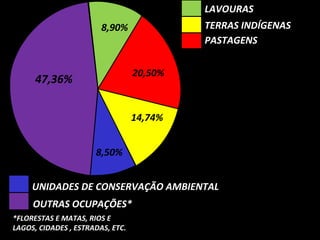 LAVOURAS
TERRAS INDÍGENAS
PASTAGENS

8,90%

20,50%

47,36%

14,74%
8,50%
UNIDADES DE CONSERVAÇÃO AMBIENTAL
OUTRAS OCUPAÇÕES*
*FLORESTAS E MATAS, RIOS E
LAGOS, CIDADES , ESTRADAS, ETC.

 