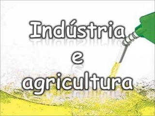 Agroeconomia no brasil