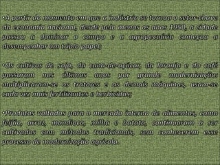 Agroeconomia no brasil