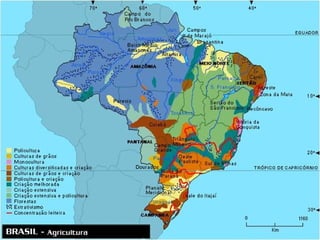 Agroeconomia no brasil