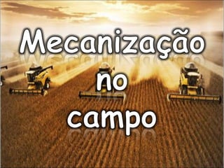Agroeconomia no brasil