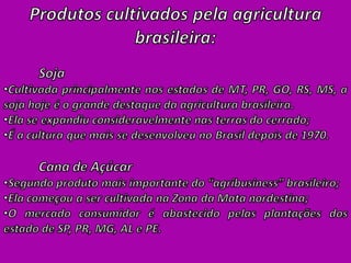 Agroeconomia no brasil