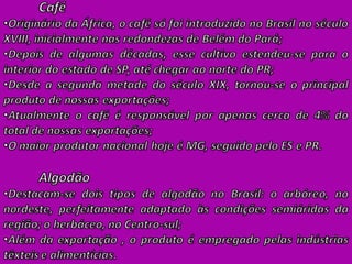 Agroeconomia no brasil