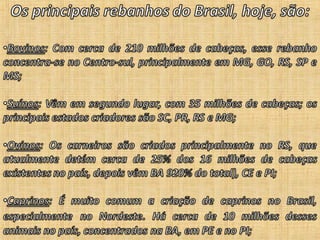 Agroeconomia no brasil