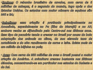 Agroeconomia no brasil