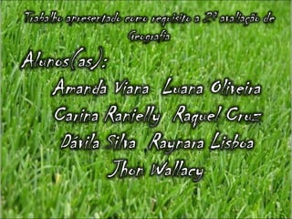 Agroeconomia no brasil